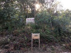-北京鹫峰国家森林公园