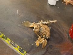 -从前慢海鲜面馆