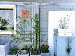 -孟林厨房(798店)