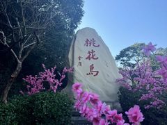 -桃花岛风景旅游区