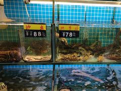 -川湘蓝天海鲜