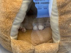 -百联川沙购物中心