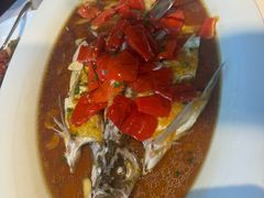 -丹江渔村(望京店)