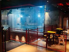 -威尔仕健身·游泳(贝尚湾店)