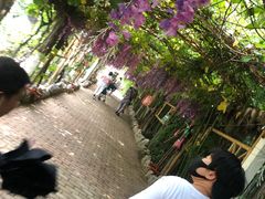 -呀路古热带植物园