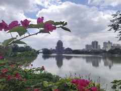 -眉山湿地公园(东坡区)
