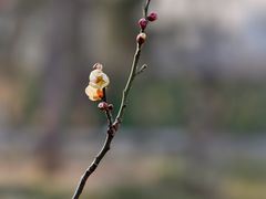 -山东大学(趵突泉校区)