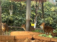 -昆明动物园