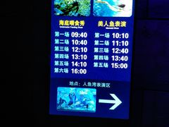 -哈尔滨波塞冬海底世界