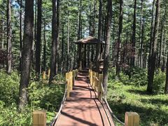 -塞罕坝国家级自然保护区