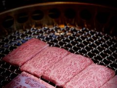 -300杯·和牛烧肉清酒专门店(廊里店)