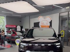 -上海浦东smart汽车全功能店(金桥店)