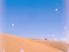 -恩格贝生态旅游区