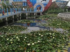 -无锡动物园·太湖欢乐园