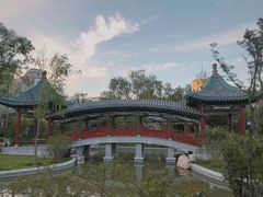 -迎泽公园