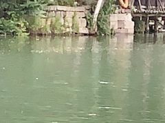 -乌镇东栅景区
