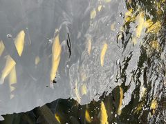 -青龙潭鱼庄