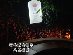 -深圳东部华侨城茵特拉根酒店
