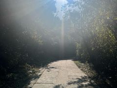 -西湖风景区十里琅珰-五云山
