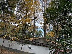 -上海佘山国家森林公园天马山园