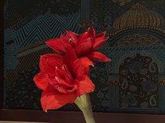 -金链花·泰国餐厅(国贸店)