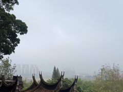 -草庵摩尼教遗址公园