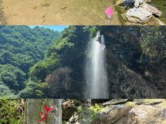 -少华山国家森林公园
