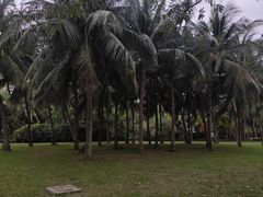 -白沙门生态公园