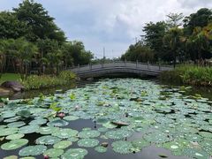 -映月湖公园