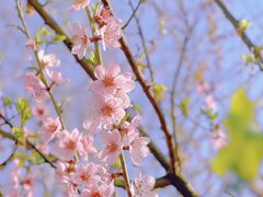 -滨湖塘西河公园