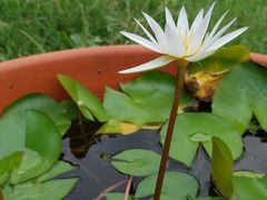 -维乐口腔医院(星海湾分院)