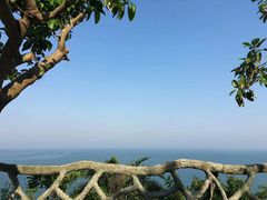 -放鸡岛生态旅游国际度假区