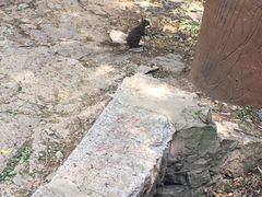 -腊山国家森林公园