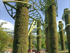 -武清南湖绿博园