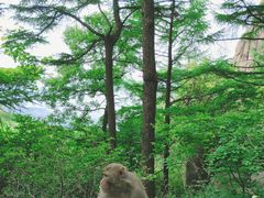 -崂山巨峰游览区