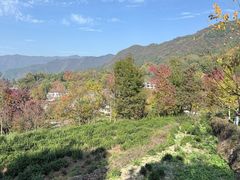 -塔川景区