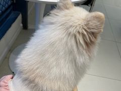 -怪兽屋·羊驼·猫咖·狗咖(俊华广场店)