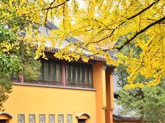 -灵谷景区