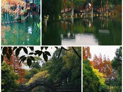 -尚湖风景区