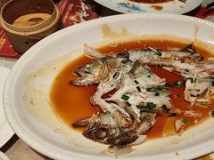 -狗不理(山东路总店)
