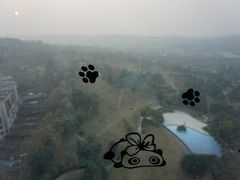 -成都保利公园皇冠假日酒店(熊猫基地店)