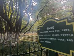 -艾溪湖湿地公园