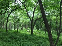 -大水川景区