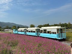 -径山花海