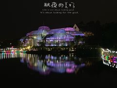 -大塘金香草谷