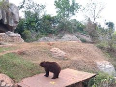 -海南热带野生动植物园