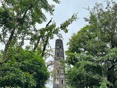 -上海佘山国家森林公园天马山园