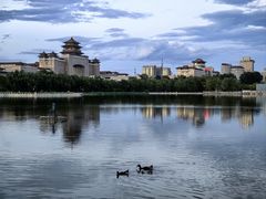 -莲花池公园