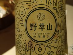 -野萃山·潮汕厚果汁(十亩地店)