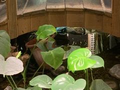 -邈墨茶馆(凤起路店)